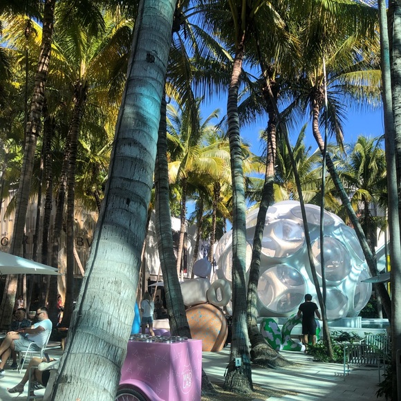 palmtreegreen